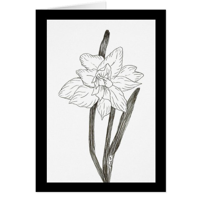 Dubbla Daffodil Hälsningskort (Framsidan)