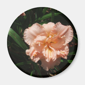 Dubbla Daylily Magnet