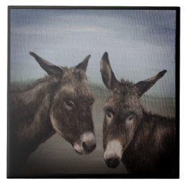 Dubbla Donkey Kakelplatta
