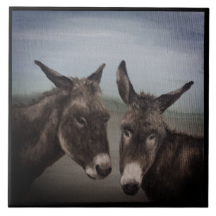Dubbla Donkey Kakelplatta