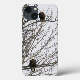 Dubbla Eagle