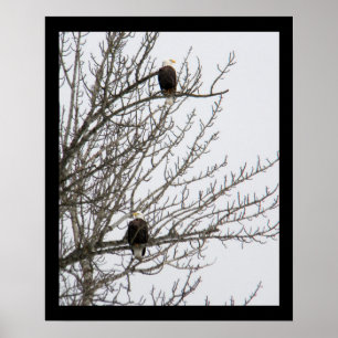 Dubbla Eagle Poster
