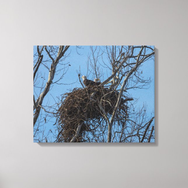 Dubbla Eagle-problem Canvastryck (Framsida)