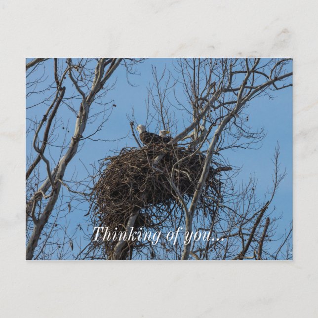 Dubbla Eagle-problem Vykort (Framsida)