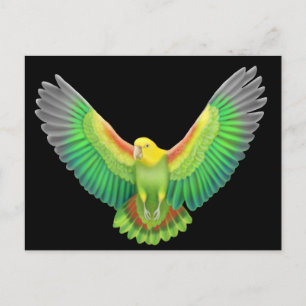 Dubbla Gult Headed Amazon Vykort