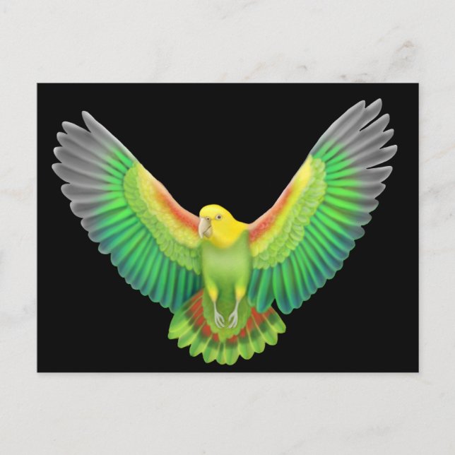 Dubbla Gult Headed Amazon Vykort (Framsida)