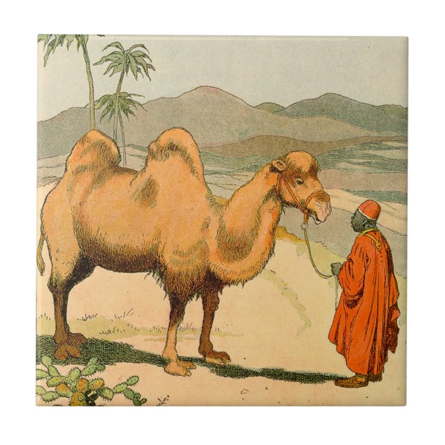 Dubbla-Ha sex med kamlet i den mongoliska öknen Kakelplatta (Framsidan)