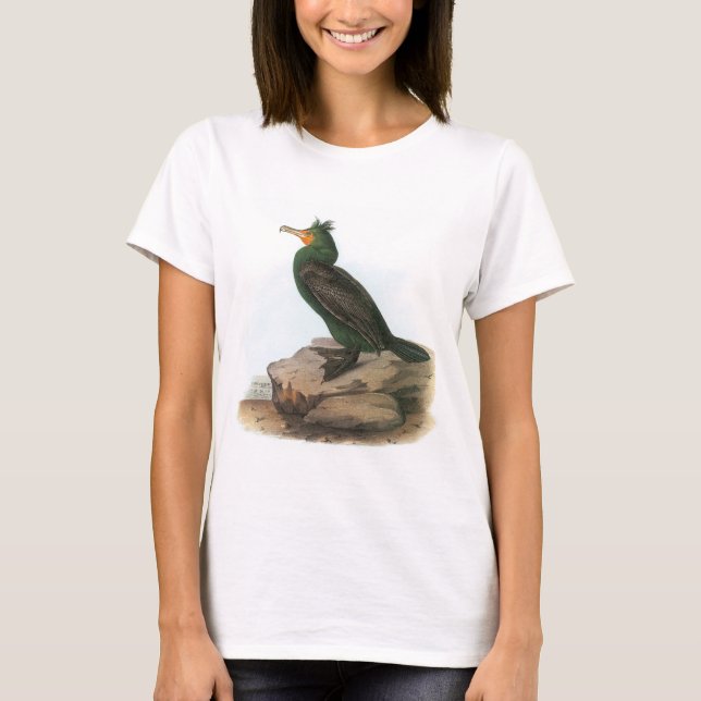 Dubbla-krönad Cormorant vid Audubon Tee (Framsida)