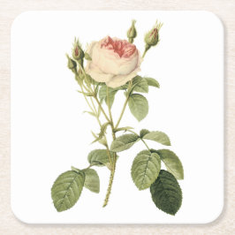 dubbla moss ro av Redouté Underlägg Papper Kvadrat