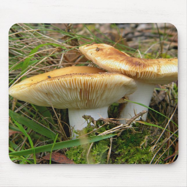 Dubbla Mushroom Mousepad Musmatta (Framsidan)