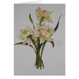 Dubbla Narcissi Bouquet Blommigt Art Hälsningskort