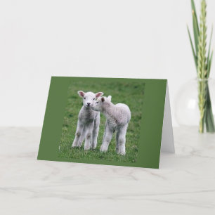 DUBBLA ÖNSKEMÅL FÖR "DITT BIRTDAG" FRÅN LAMBS KORT