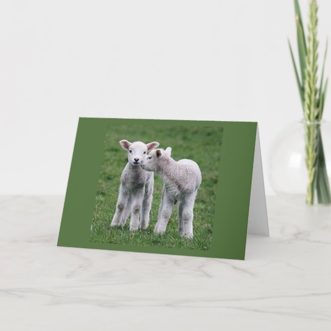 DUBBLA ÖNSKEMÅL FÖR "DITT BIRTDAG" FRÅN LAMBS KORT (Framsida)