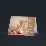 DUBBLA ÖNSKEMÅL FÖR MIN SISTER PÅ BIRTHDAG KORT<br><div class="desc">PÅ DIN ***BIRTHDAY SYRRAN*** TA TID UT TILL "CELEBRATE" OCH OM DU ÖNSKAR KAN DU ÄNDRA VERSINSIDAN KAN DU ANVÄNDA ALLA MIN KORT. TACK FÖR ATT JAG STOPPADE ETT AV MINA ÅTTA LAGER!!!!</div>
