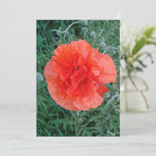 Dubbla Poppy Flower Kort
