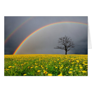 Dubbla Rainbow OBS Kort
