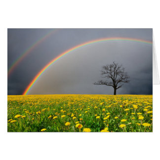 Dubbla Rainbow OBS Kort