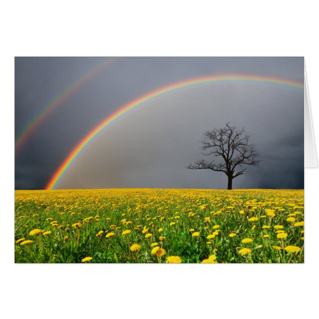 Dubbla Rainbow OBS Kort (Framsidan Horizontal)