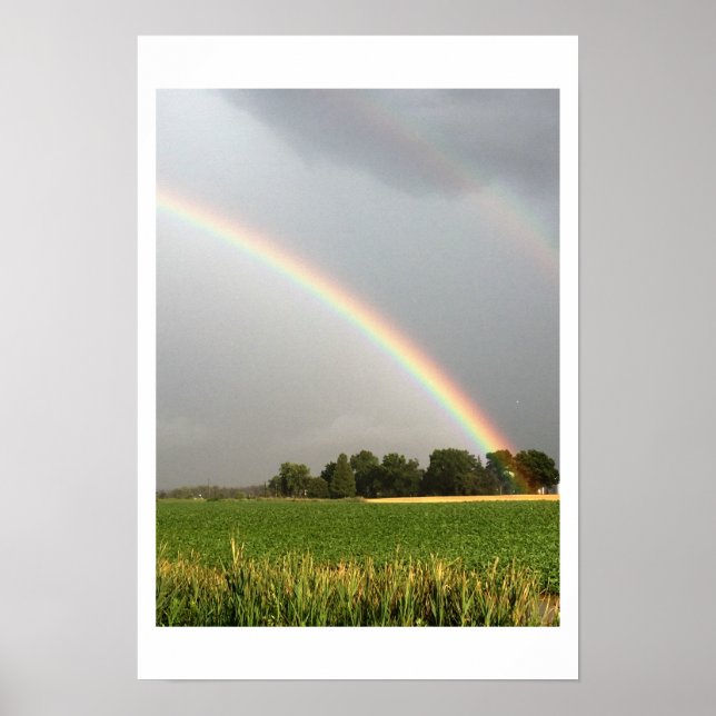 Dubbla Rainbow Photo Poster (Framsidan)