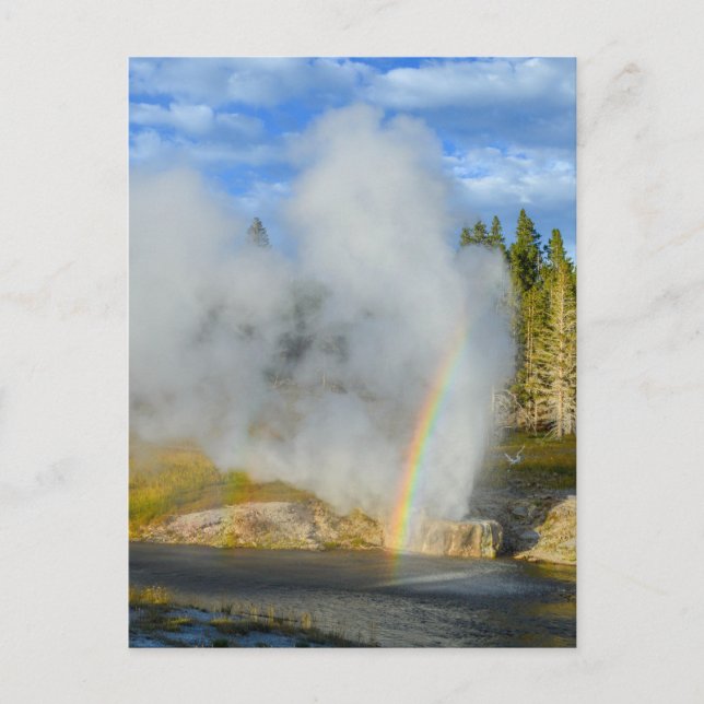 Dubbla Rainbow vid Riverside Geyser, Yellowstone Vykort (Framsida)