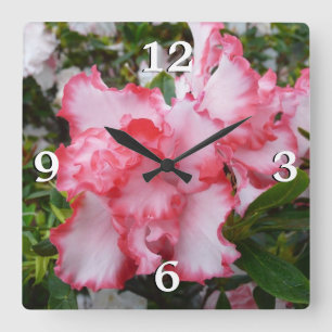 Dubbla Red and White Azaleas Vår Blommigt Fyrkantig Klocka