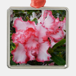 Dubbla Red and White Azaleas Vår Blommigt Julgransprydnad Metall