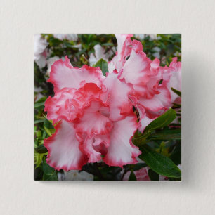 Dubbla Red and White Azaleas Vår Blommigt Knapp
