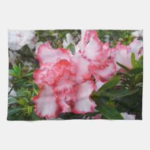 Dubbla Red and White Azaleas Vår Blommigt Kökshandduk