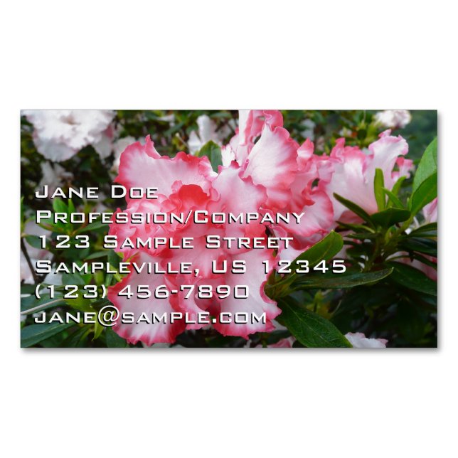 Dubbla Red and White Azaleas Vår Blommigt Magnetiska Visitkort (Framsida)