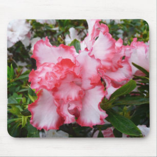 Dubbla Red and White Azaleas Vår Blommigt Musmatta