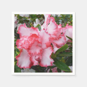 Dubbla Red and White Azaleas Vår Blommigt Pappersservett