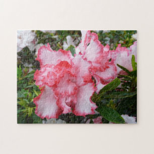 Dubbla Red and White Azaleas Vår Blommigt Pussel
