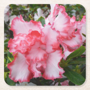 Dubbla Red and White Azaleas Vår Blommigt Underlägg Papper Kvadrat