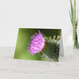 Dubbla Rosa Cherry-Blommar i Välkomna Vår Kort