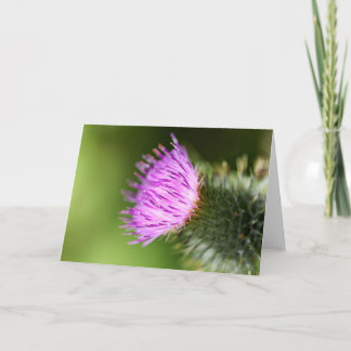 Dubbla Rosa Cherry-Blommar i Välkomna Vår Kort