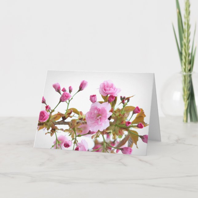 Dubbla Rosa Cherry-Blommar i Välkomna Vår Kort (Framsida)