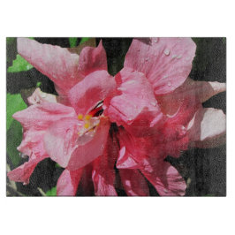 Dubbla Rosa Hibiscus