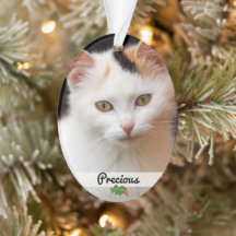 Dubbla Sided Pets Photo Namn Acrylic Ornament