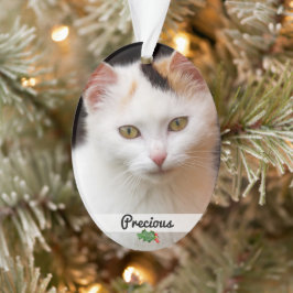 Dubbla Sided Pets Photo Namn Acrylic Ornament