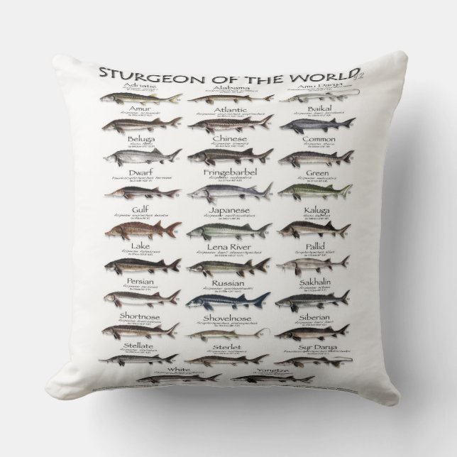 DUBBLA SIDED PILLOW - STURGEON THE WORLD KUDDE (Framsida)