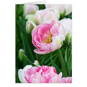 Dubbla Tulips Vår Garden Tillfällen Anpassningsbar Hälsningskort