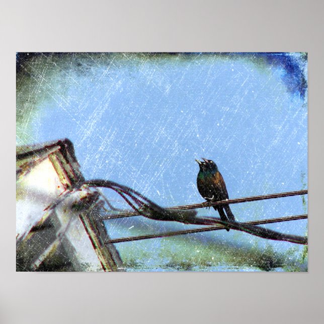 Dubbla Vision Poster (Framsidan)