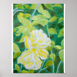 Dubbla vit hibiscus-blomma, vattenfärg poster