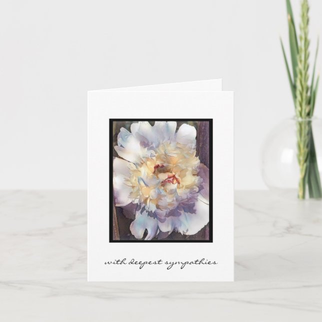 Dubbla vit Peony med rosa kant Sympathy Card Kort (Framsida)