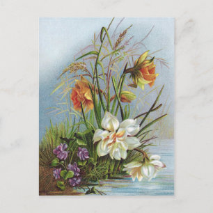 Dubbla White and Guld Narcissus by a Pond Vykort