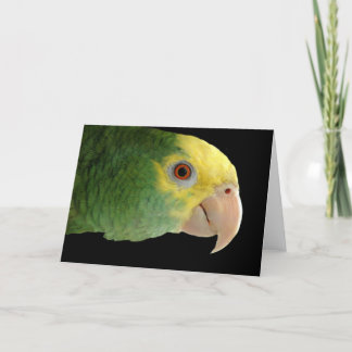 Dubbla Yellowhad Amazon Note Card Kort