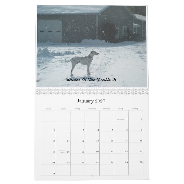 DubblaD-Dalmatians 2010 Kalender (Jan 2027)
