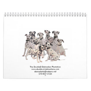 DubblaD-Dalmatians 2010 Kalender