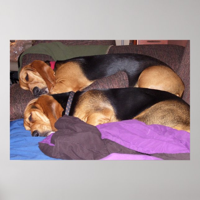 Dubblans Hund är föråldrad Poster (Framsidan)