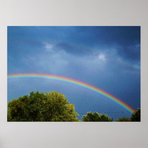 DUBBLANS RAINBOW-utskrift Poster